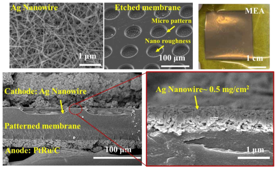 Ag Nanowire 및 마이크로/나노 구조를 갖는 패턴된 막 및 제작된 MEA의 이미지