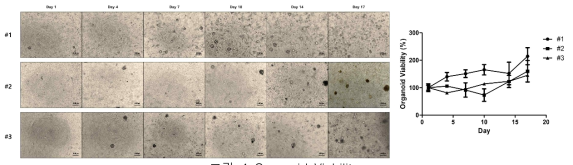 Organoid Viability