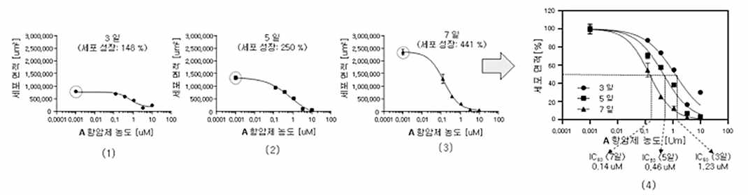 세포의 성장에 따른 항암제 반응성 (IC50)