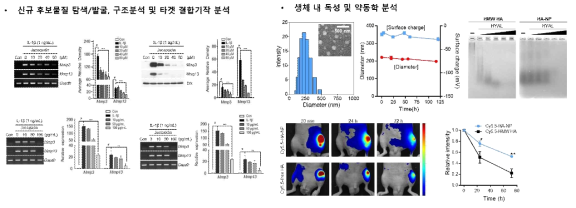 후보물질 탐색 및 발굴