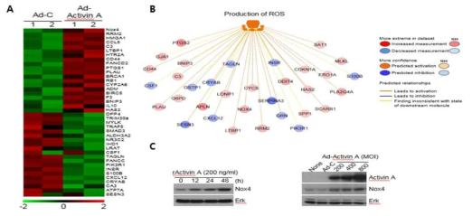 RNA-seq/Array/Database analysis 기반 빅데이터 분석