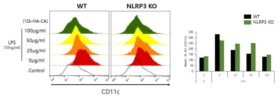 타겟에 의한 NLRP3 인플라마좀 활성 및 M1 polarization