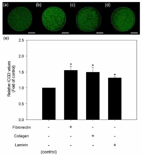 Comparison of indices of cortical granule distribution (ICGD) in mature oocytes produced by in vitro maturation (IVM) using agarose matrices supplemented with fibronectin, collagen, or laminin. *p < 0.05