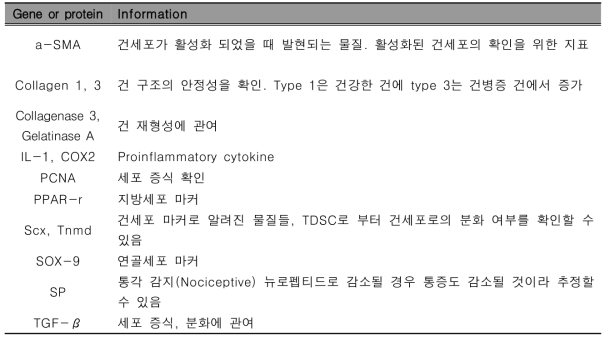 분석 물질의 특성 정리