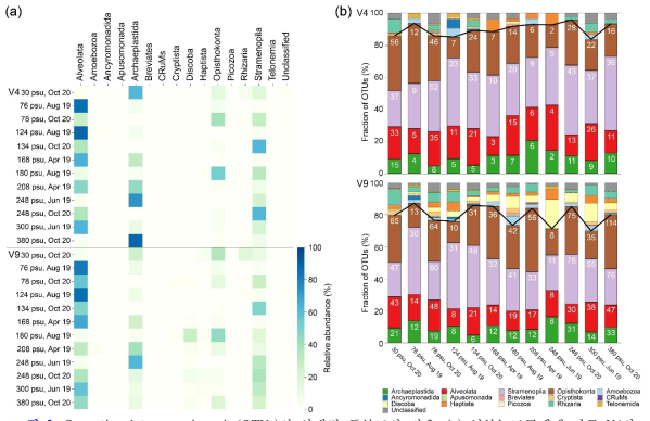 Operational taxonomic units(OTUs)의 상대적 풍부도와 비율. (a) 염분농도구배에 따른 V4와 V9의 상대적 풍부도를 나타내는 heatmap (b) 염분농도구배에 따른 V4와 V9의 OTUs에 대한 비율을 나타낸 막대그래프