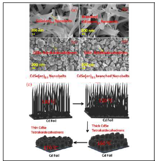 FESEM images of solvothermally deposited CdSe(en)0.5 nanobelts and CdSe-TDH at various temperatures (a) 140, (b) 150, (c) 160, and (d) 170 °C for 12 h, and (e) corresponding schematic illustrations of transformation of nanobelts to TDH structures