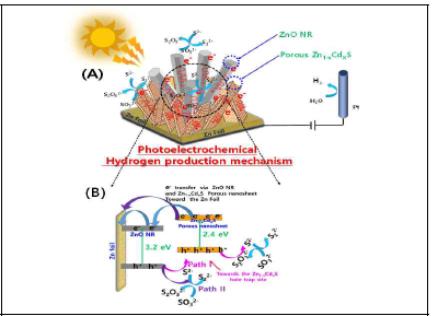 photoelectrochemical mechanisam for (A) ZnO NR /Zn1-xCdxS -160C photoanode (B) Band position ZnO NR /Zn1-xCdxS -160C photoanode