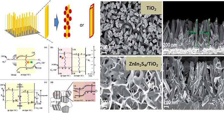 기질 위에 한 방향으로 정렬된 광전극 소재의 융합/접합화 모식도