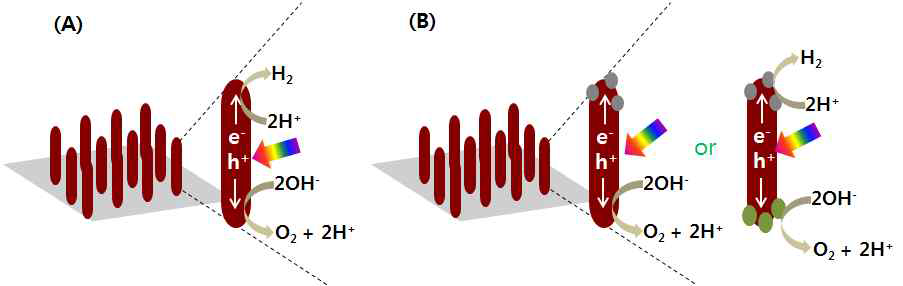 광전극 소재 계면에서 일어나는 현상 도식화: (A) 수소 또는 산소 생성, (B) 조촉매의 영향