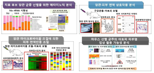 본 연구의 개요 및 목표