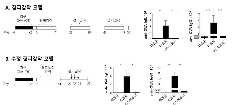 최적 아토피 피부염 유도 모델 평가