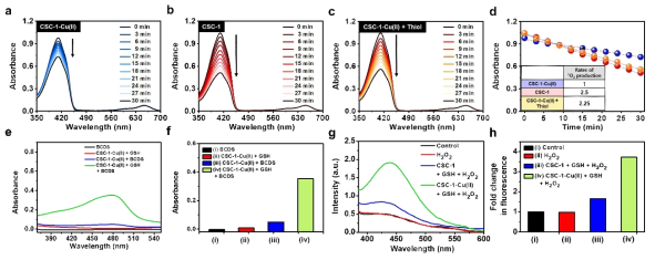 개발된 CSC-1, CSC-1-Cu(II) 물질의 in vitro 활성산소종 발생 실험