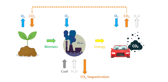 A concept of the CO2 negative emission