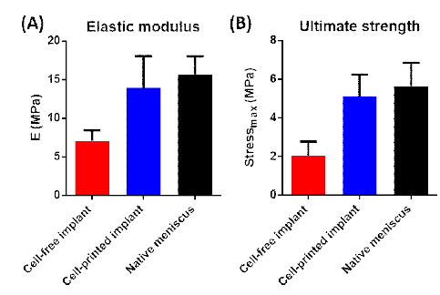 3차원 반월상 연골판 지지체의 비글 견 이식 24주 후 생역 학적 기능 평가. (A) Elastic modulus, (B) Ultimate tensile strength(UTS)