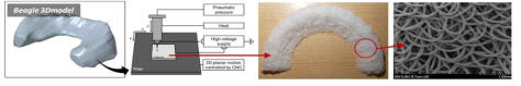 Beagle 3D model를 분석하여 용융전기방사법 모식도와 제작된 구조체 및 SEM 이미지
