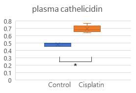 시스플라틴 신손상 모델에서 혈중 카텔리시딘 농도 측정 (pg/ml)