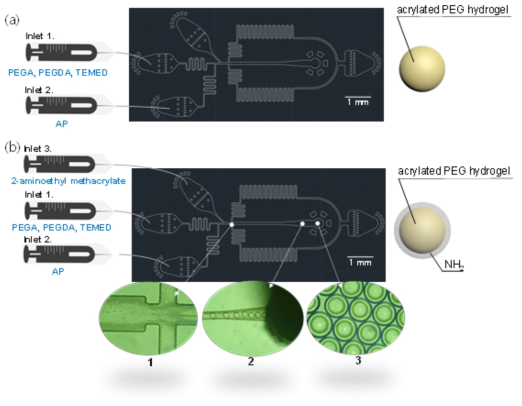 하이드로젤 제작을 위한 마이크로유체 시스템의 디자인 및 액적의 제조