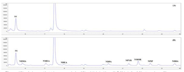 여덟 가지 NAs와 SS(NDMA-d6)의 바탕 시료(A) 및 표준용액(B)에 대한 크로마토그램