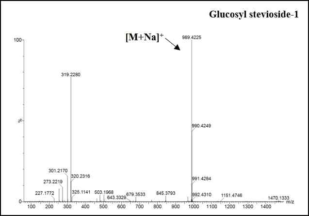 Glucosyl stevioside-1 (STG-1) LC/MS 측정