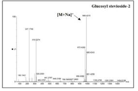 Glucosyl stevioside-2 (STG-2) LC/MS 측정