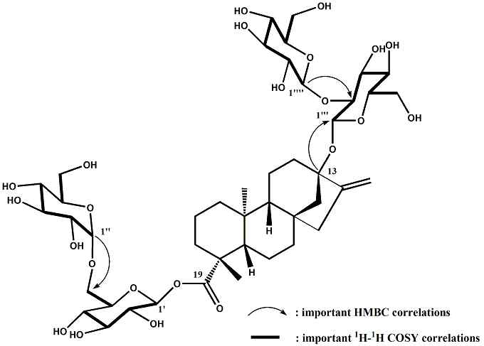 Glucosyl stevioside-1 (STG-1) 구조 해석