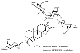 Glucosyl stevioside-2 (STG-2) 구조 해석