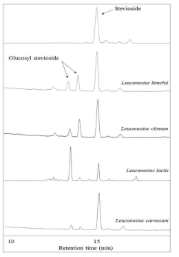 L. kimchii, L. citreum, L. carnosum에 의한 stevioside 당전이 산물 분석