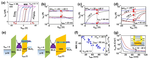 hBN 두께에 따른 Electric field 및 tunneling 효과에 의해 이루어진 floating-gate memory 소자의 성능 특성. [ref. : 8 (‘Adv. Funct. Mater. 2021, 31, 2105472’에 보고됨)]