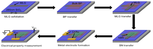 MLG/BP/MLG 구조의 tunneling FET 소자를 제작하기 위한 2차원 물질 적층 구성도