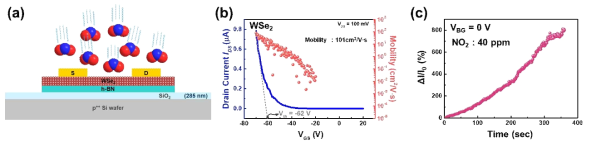 (a) WSe2를 반응 층으로 적용한 트랜지스터 형 가스 센서 소자 구성 및 가스 분자 측정 연구 모식도, (b) WSe2 기반 트랜지스터 소자의 진공에서 측정된 transfer curve, (c) 40 pmm 이산화질소 (NO2) 가스 분위기에서 측정된 시간에 따른 전류 변화