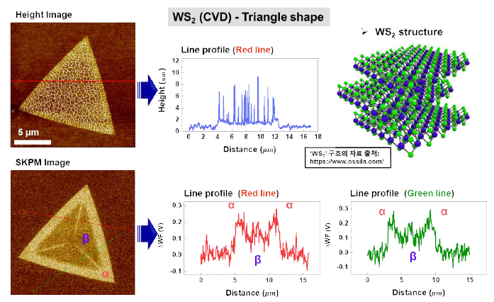 CVD 방법에 의해 성장되어진 삼각형 모양 WS2 Flake의 AFM 과 SKPM에 의해 측정된 형상 및 표면 전위 이미지들