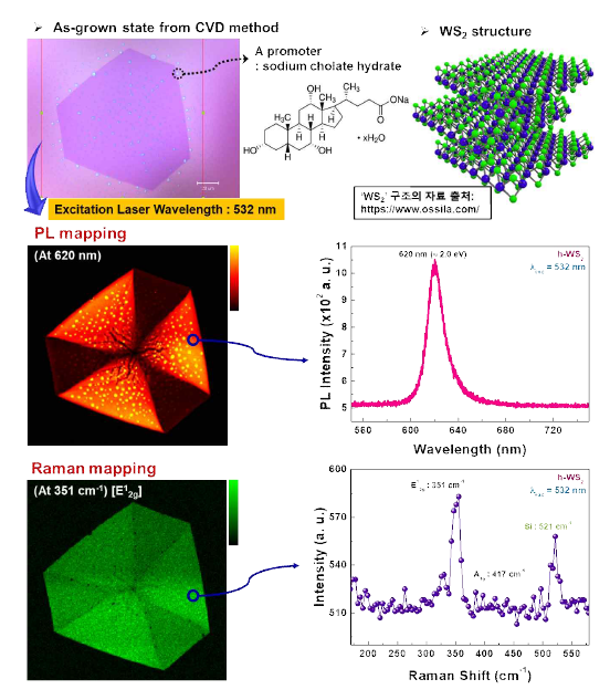 CVD로 성장된 육각형 WS2 flake의 광학 이미지와 PL 및 Raman mapping 이미지 결과들