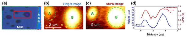 (a) 시료의 광학 현미경 이미지 (b) AFM으로 측정한 Topography (c) SKPM으로 얻은 Surface Potential (d) 두께와 Potential에 대한 line profile 그래프