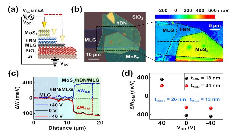 MoS2/hBN/MLG 이종 접합 구조에 대한 hBN 두께에 따른 위치별 일함수 분포 차이. [ref. : 8 (‘Adv. Funct. Mater. 2021, 31, 2105472’에 보고됨)]
