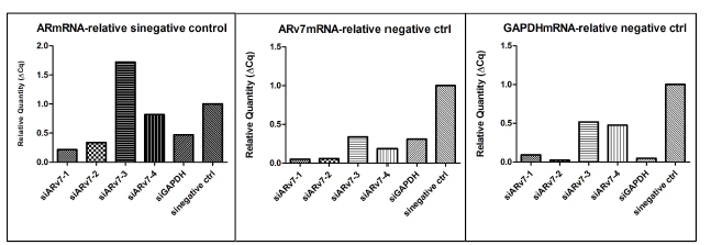 qPCR 상에서의 ARv7 siRNA knocking down 효율 비교