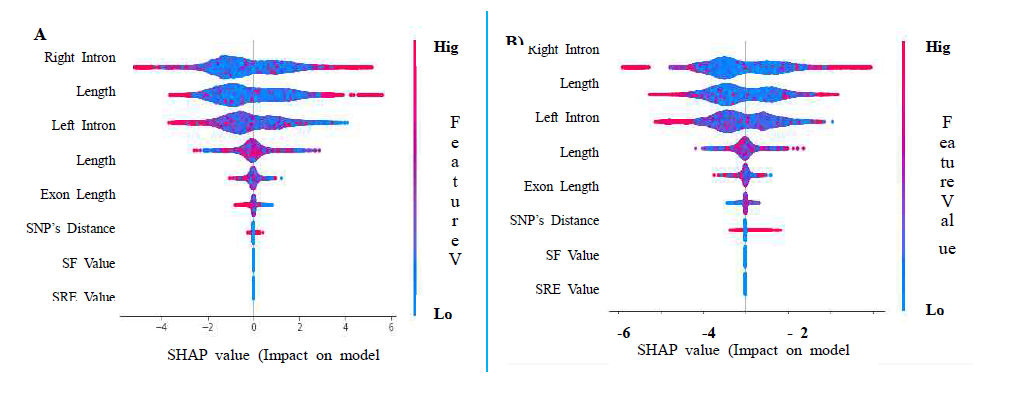 XGBoost Feature Importance using Shapley Additive Explanations: A) AD Cases; B) CN Cases
