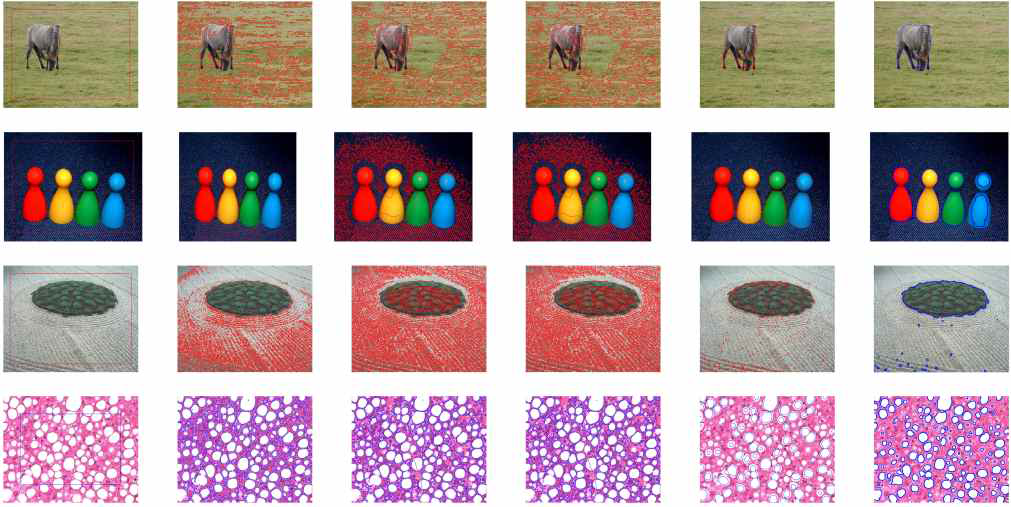 컬러 이미지의 분할 결과 비교. 1열: 초기 윤곽이 있는 이미지, 2열~6열: 각각 CV, LBF, LIF, SDREL, 제안된 모델