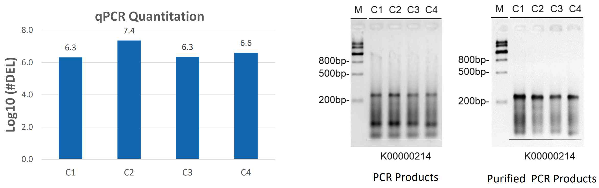qPCR과 PCR을 이용한 quality 측정