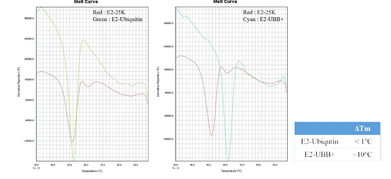 DSF를 이용한 E2-25K stability 확인