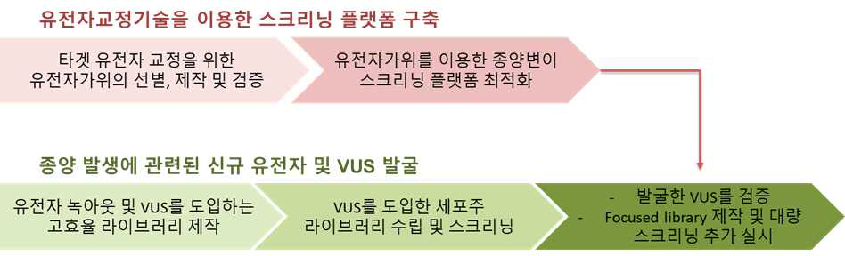 4,5차년도 연구개발 추진 전략