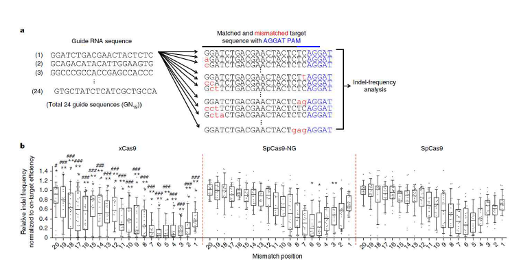 (a) 다중으로 off target을 측정하는 방식의 모식도. (b) 유전자가위의 mismatch 활성 profile