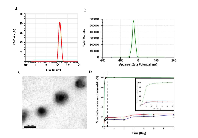 (A) Size, (B) zetapotential and (c) TEM image of minoxidil (MXD) loaded HA-PLGA (HA-PLGA/MXD) NP. (D) Release profile of MXD from HA-PLGA/MXD NP