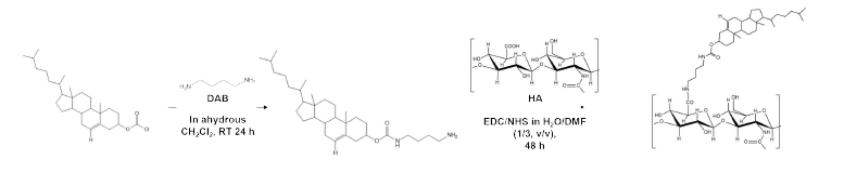 DAB를 통한 HA-Chol의 합성