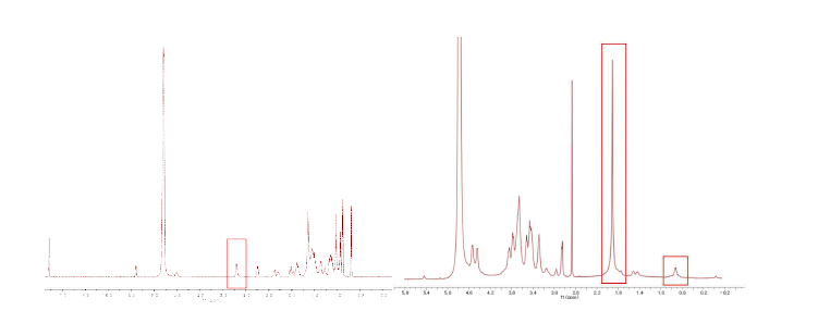 Chol-Amine(좌)과 HA-Chol(우)의 NMR spectrum