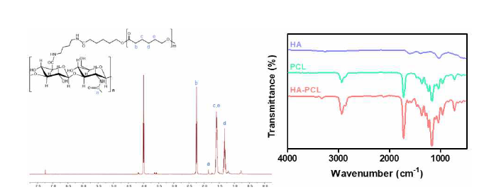 HA-PCL의 1H-NMR과 FTIR을 이용하여 분석한 결