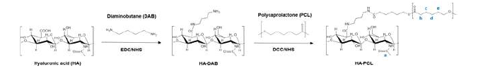 HA-PCL의 합성 과정