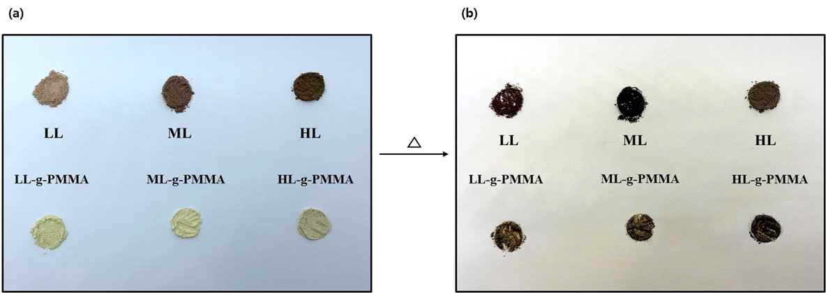 유기용매 리그닌 및 리그닌-g-PMMA의 용융 실험 (200 °C)
