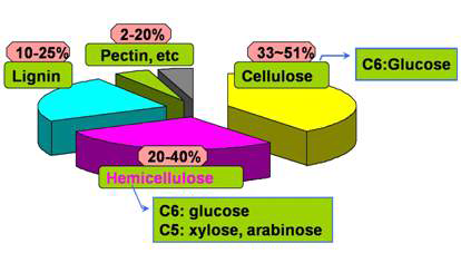 섬유소계 바이오매스의 구성성분