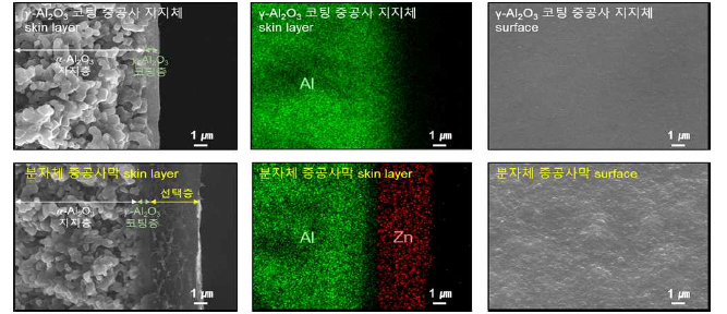 6FDA-DAM/AZIF-8 (60/40 w/w) 분자체 중공사막 구조의 주사현미경 사진