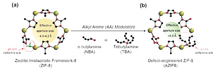 (a) 기존 ZIF-8 나노 분자체 구조 및 (b) 결정성 결함 구조가 도입된 AZIF-8 나노 분자체 구조